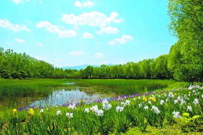 京城10个湿地公园：城区郊区、东西南北都有，总有一个适合您！