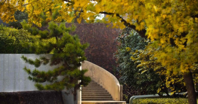 10年后睡醒了的别墅西安人还会认吗？