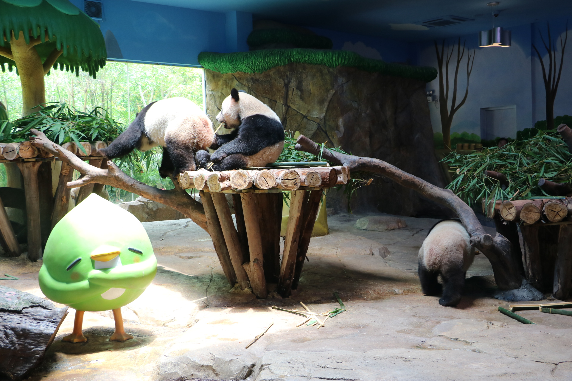 一月广州长隆野生动物园游玩攻略,长隆海洋王国不可错过