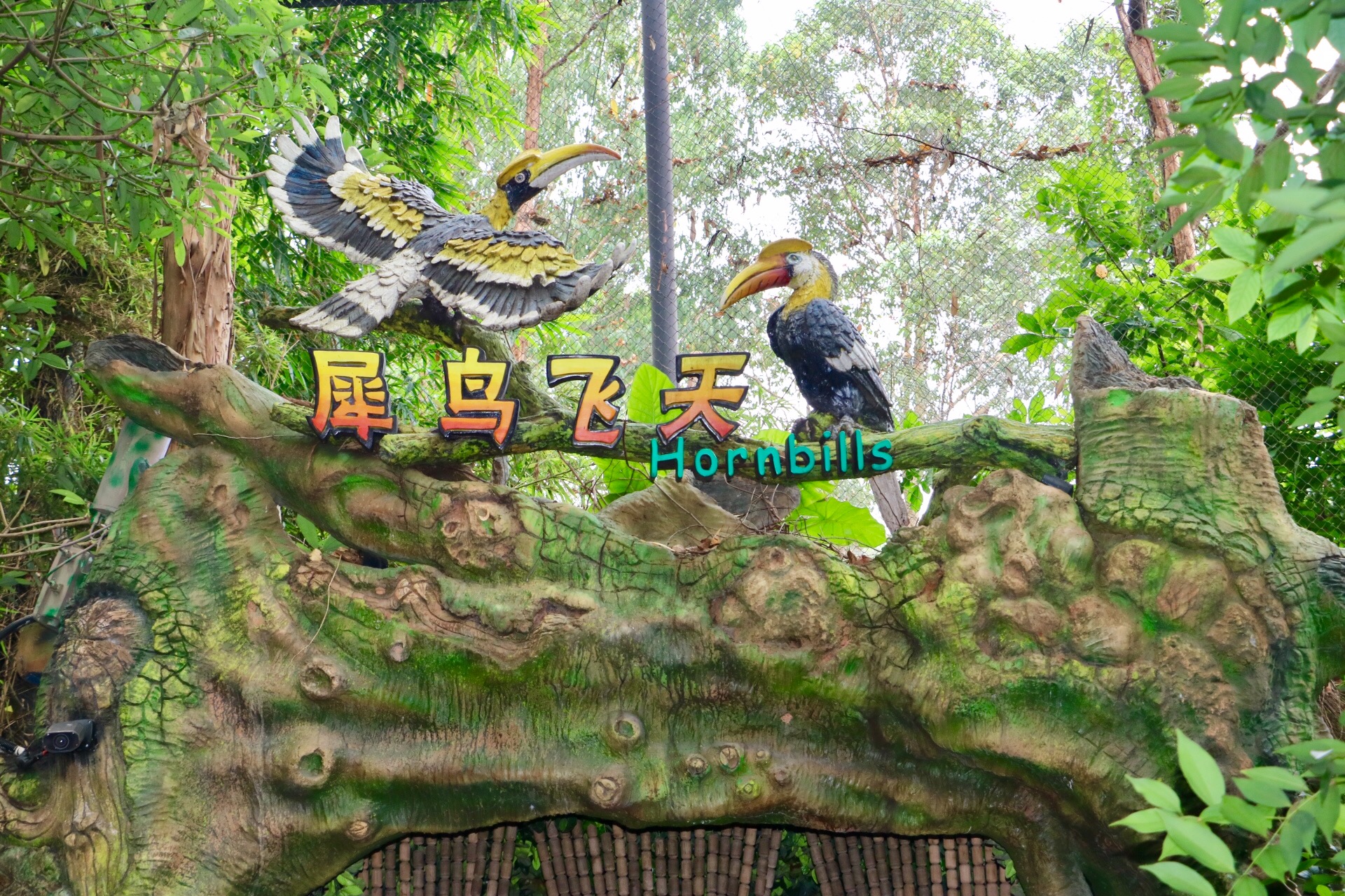 一月广州长隆野生动物园游玩攻略,长隆海洋王国不可错过