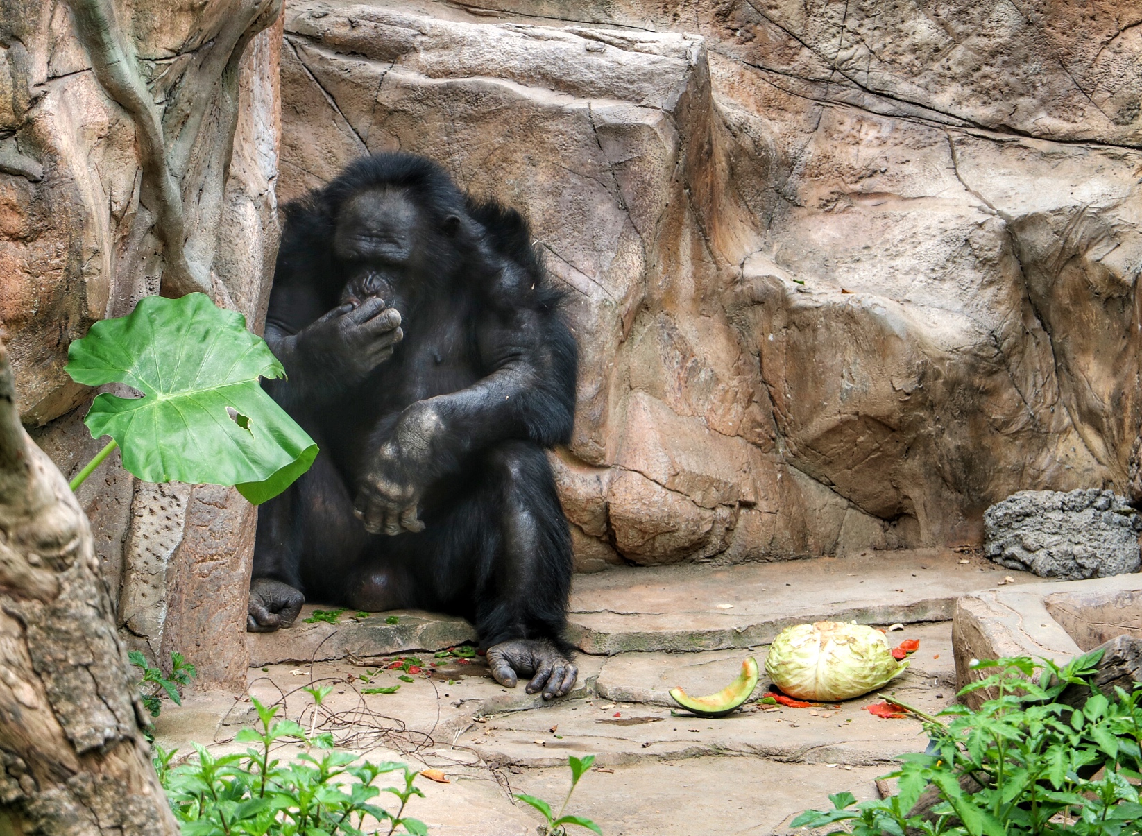一月广州长隆野生动物园游玩攻略,长隆海洋王国不可错过
