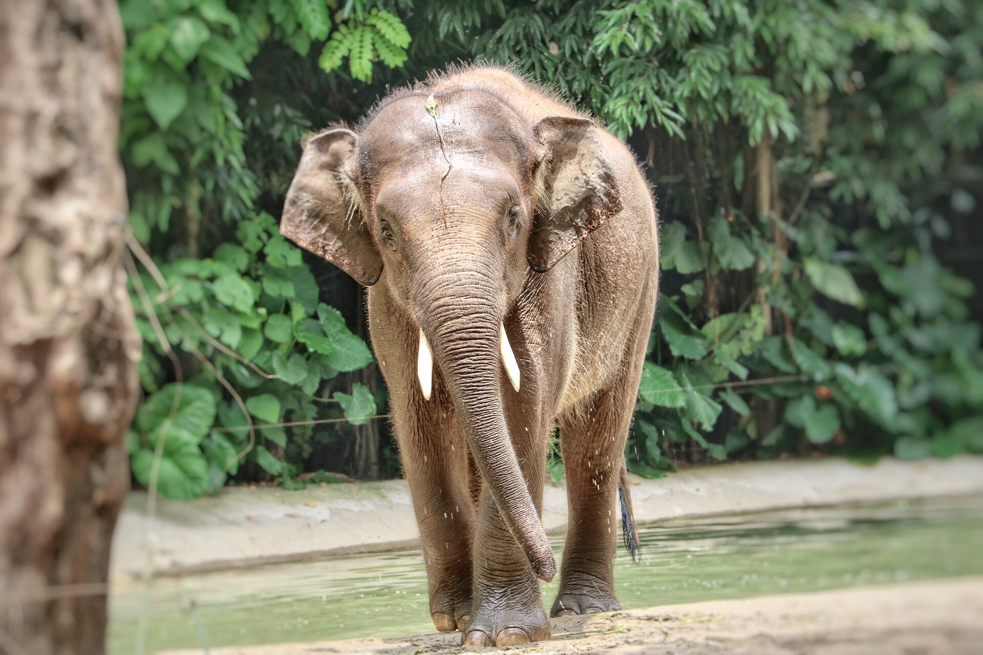 一月广州长隆野生动物园游玩攻略,长隆海洋王国不可错过