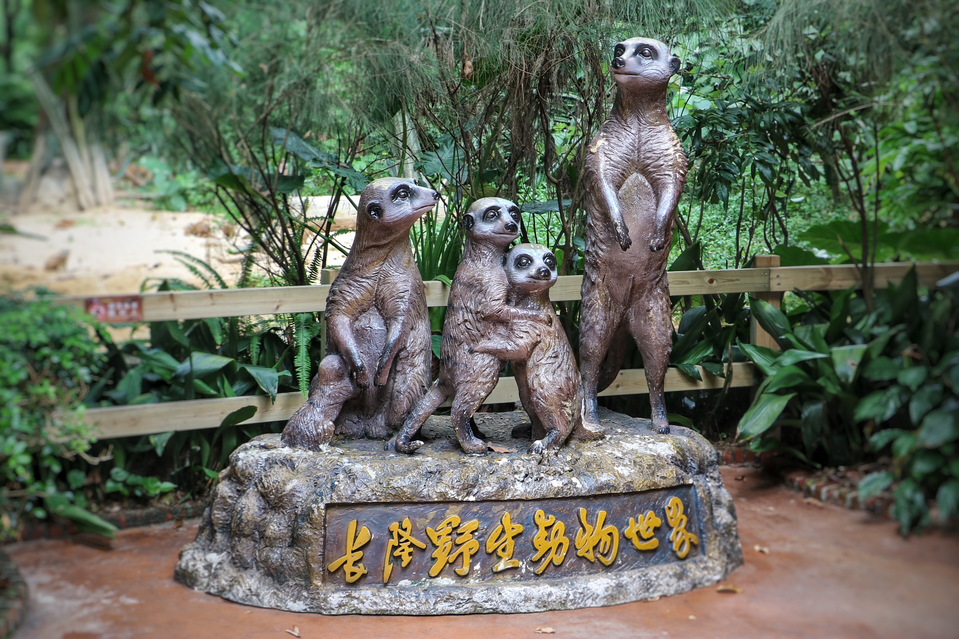 一月广州长隆野生动物园游玩攻略,长隆海洋王国不可错过