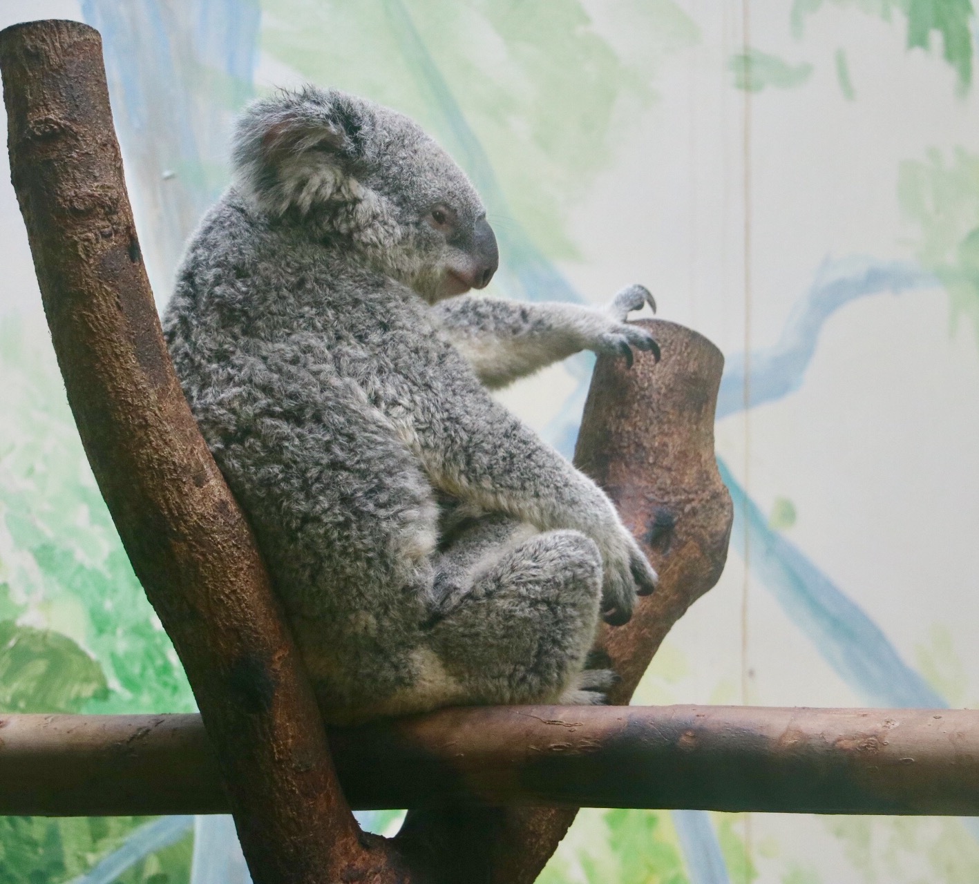 一月广州长隆野生动物园游玩攻略,长隆海洋王国不可错过