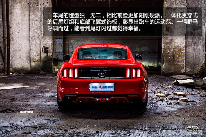 没有奔跑在草原的野马，成了男人心口的朱砂痣