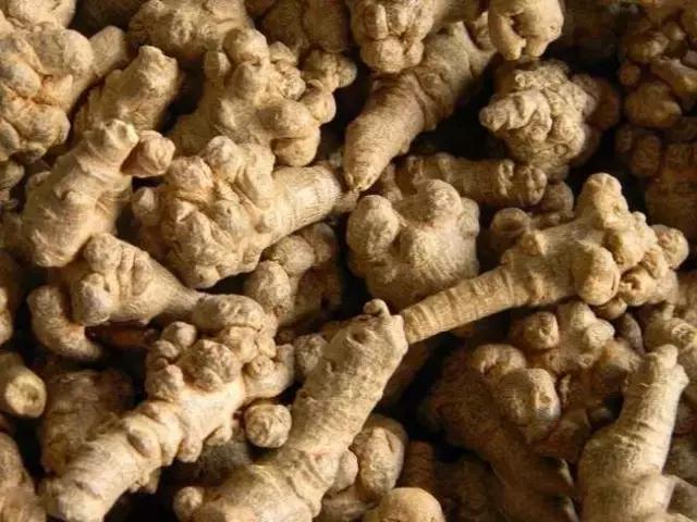 央视人参怎么吃,央视科普饮食方法