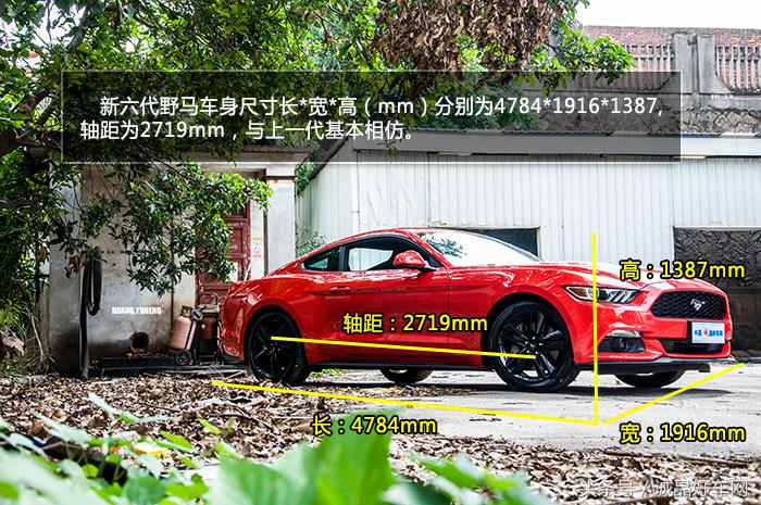 没有奔跑在草原的野马，成了男人心口的朱砂痣