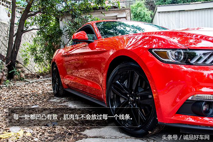 没有奔跑在草原的野马，成了男人心口的朱砂痣