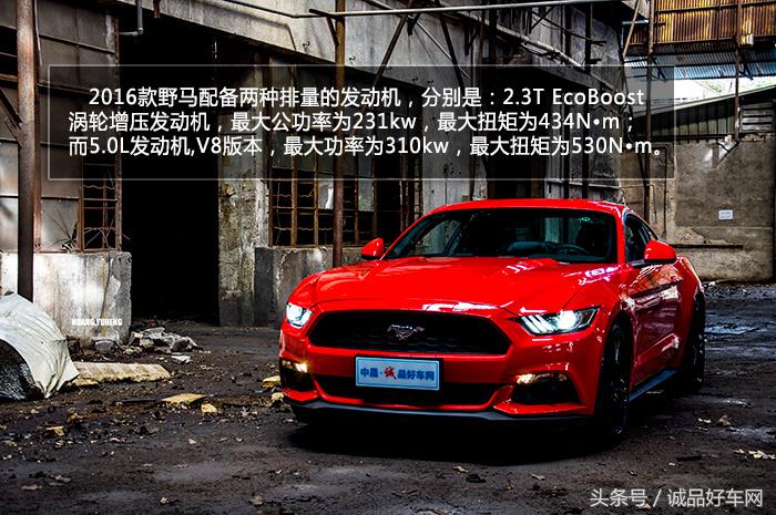 没有奔跑在草原的野马，成了男人心口的朱砂痣