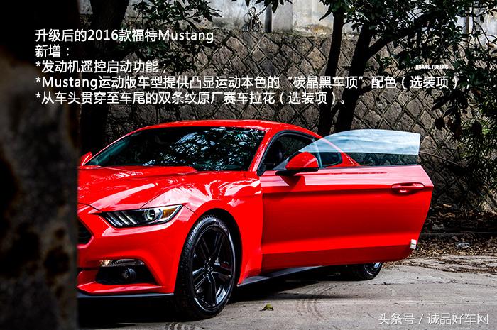 没有奔跑在草原的野马，成了男人心口的朱砂痣