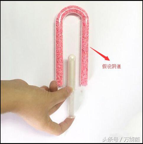 卫生棉条好用还是月经杯好用,月经杯跟卫生棉条的正确用法