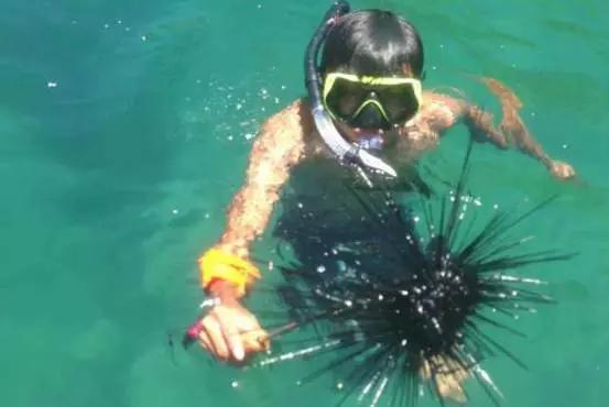 拒绝下饺子,出门就是海,双月湾爱琴海酒店