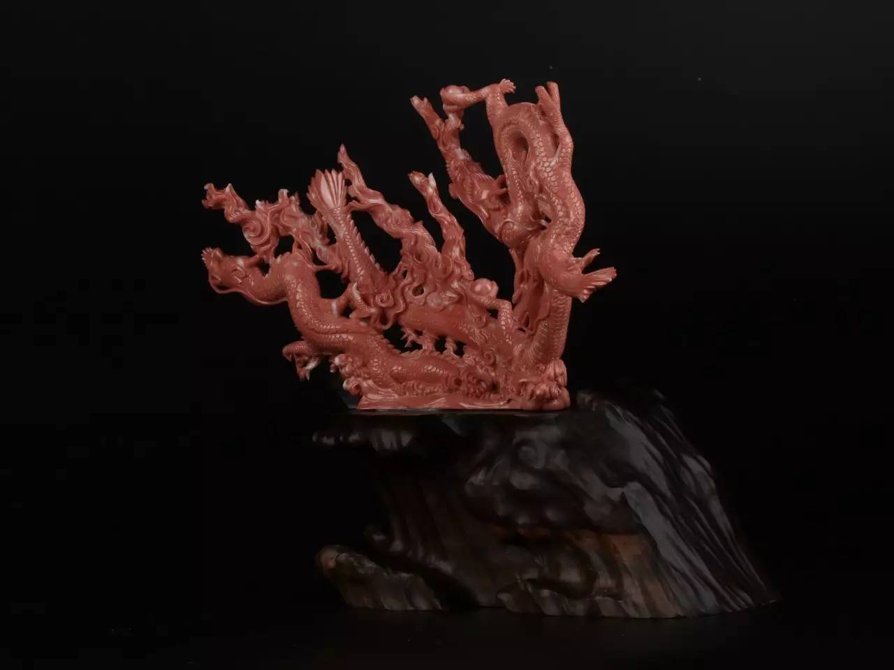 红珊瑚有多珍贵,红珊瑚珍贵么