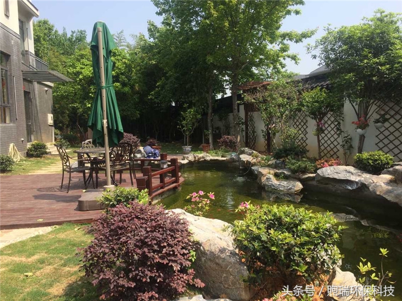 我宁愿化做池塘里的一尾锦鳞,不畏浮云,不惧声色,不问世俗!