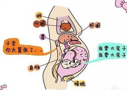 胎儿入盆会有什么表现想顺产的妈妈看这里详细入盆图解