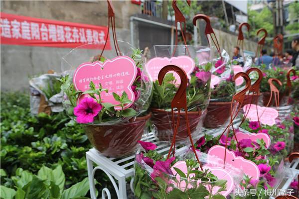 广州适合穷人的小本创业小吃项目,宁夏适合穷人的小本创业小吃项目