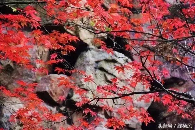 五一扬州瘦西湖风景区门票价格,2022年扬州瘦西湖门票多少钱