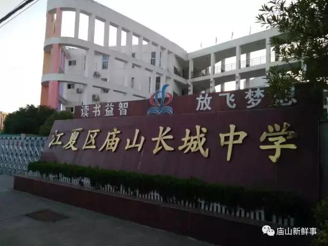 江夏庙山有几所小学,江夏庙山新建小学
