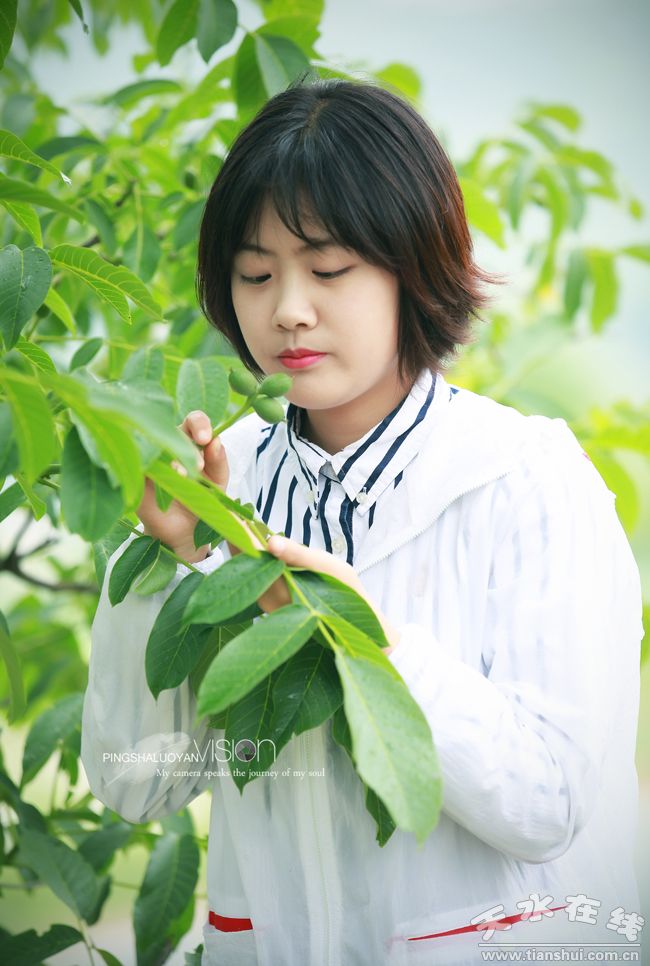 天水乡村田园风景图,天水农村自然美景