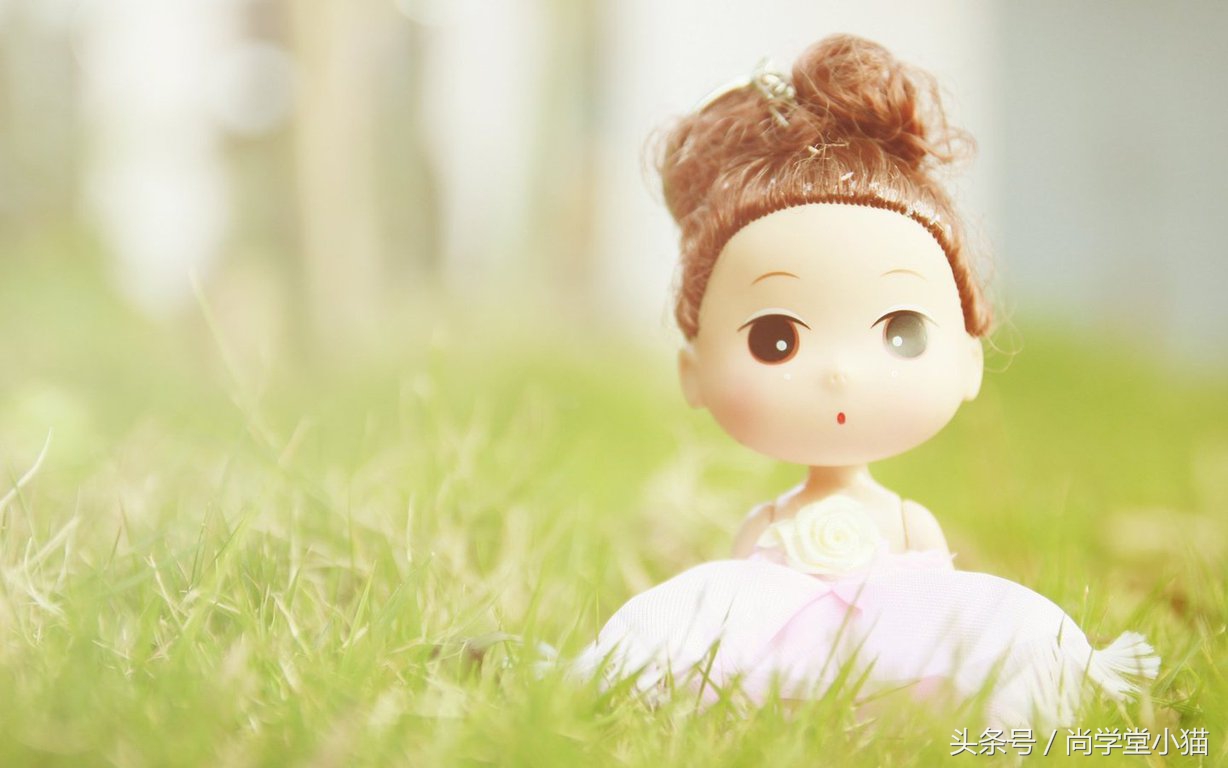 感恩尚学堂:轻松实现我的高薪就业梦