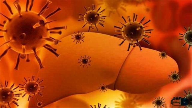 乙肝抗病毒药国产和进口区别,国产乙肝药和进口药有什么区别