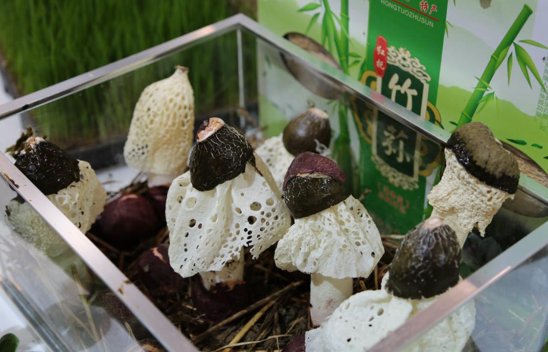 秸秆产业的商机,秸秆产业博览会开幕