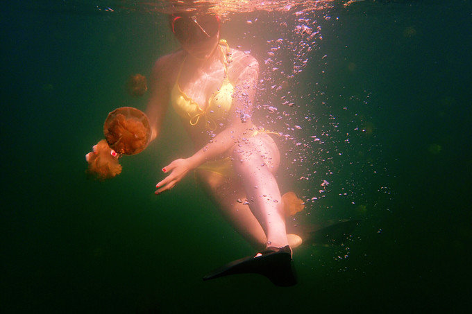 带着思念去旅行完整版,带着思念去海边