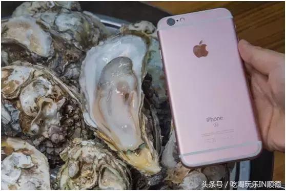 高配的自家农场农庄开始大放价,38蚊/打湛江生蚝!1蚊炸云吞