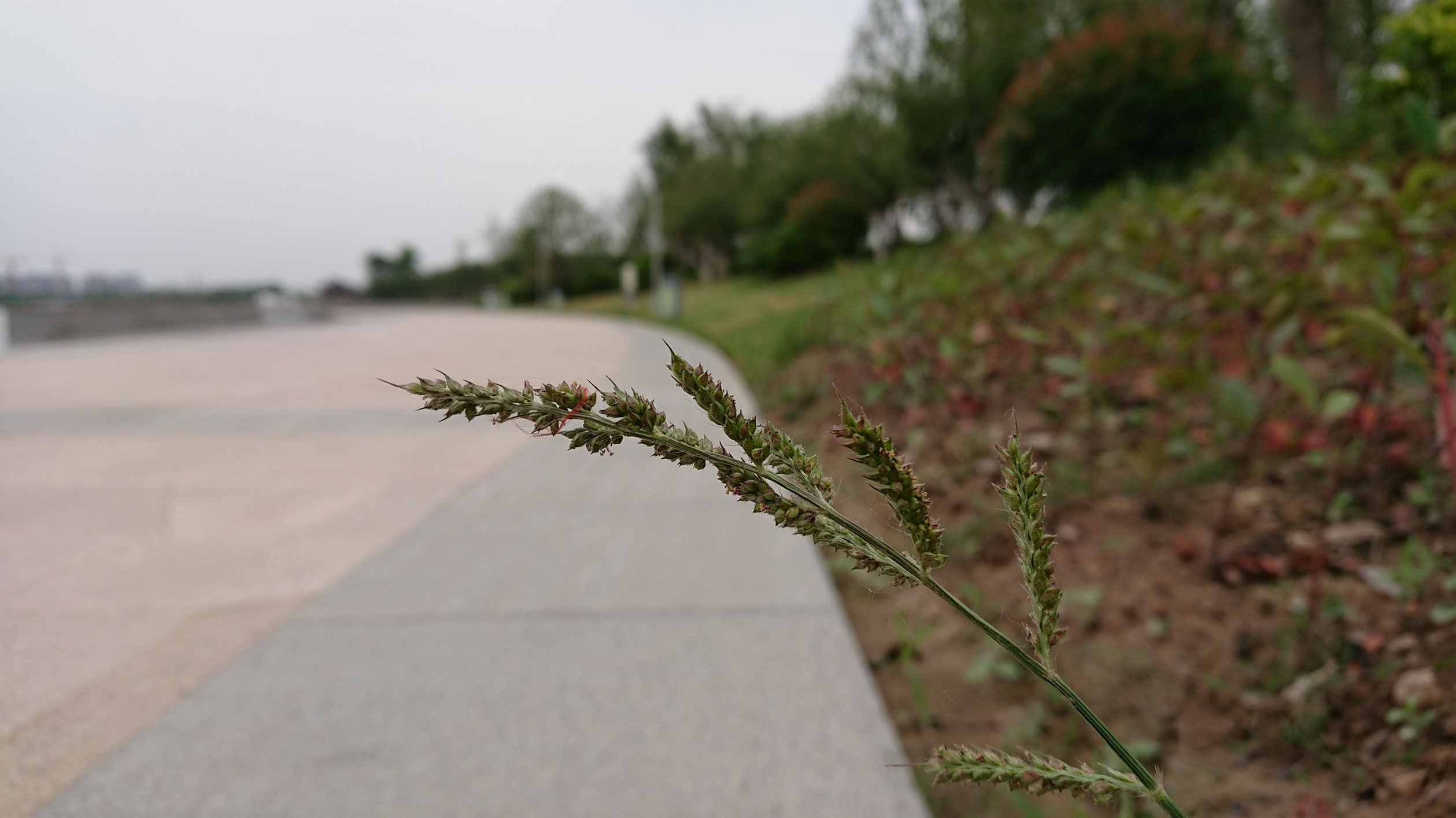 索尼大法测评视频,索尼大法相机好吗