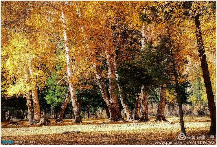 美丽*疆新**100张——美在雪山,美在草原,美在戈壁,美在心灵!