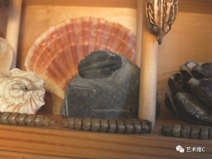 你猜猜，几百年前人们是怎么收藏的？