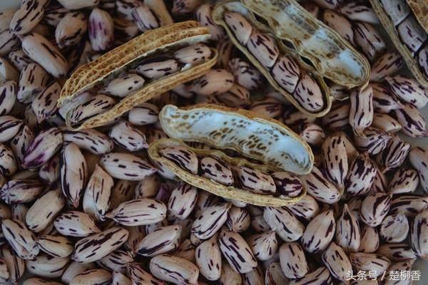 它曾是古代皇帝吃的菜,傣族王室贡品欣赏