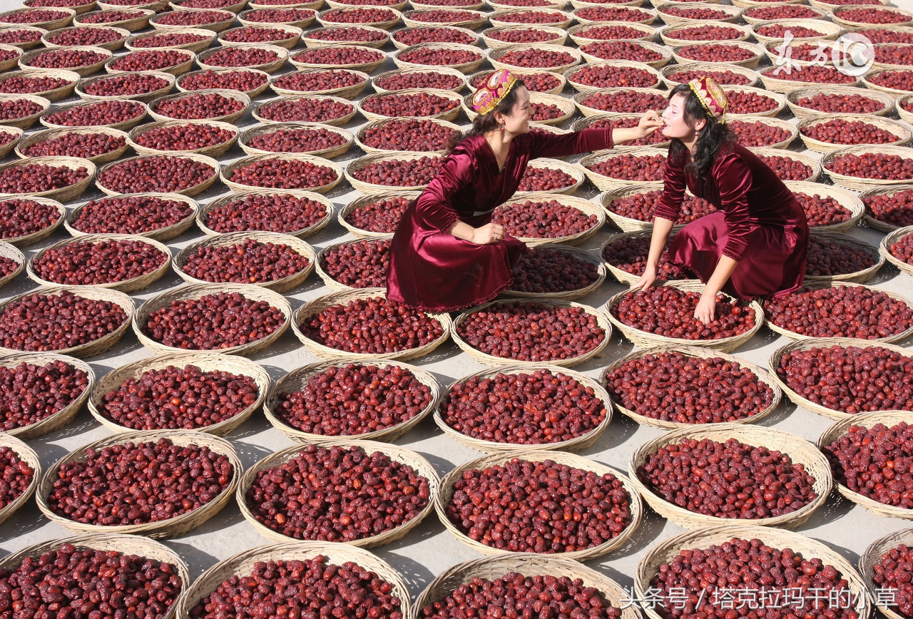 和田大枣多少钱一斤,和田糖玉你了解多少