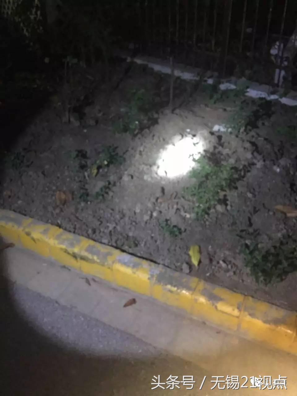 不满物业管理业主堵门,不满物业管理应该向哪个部门投诉