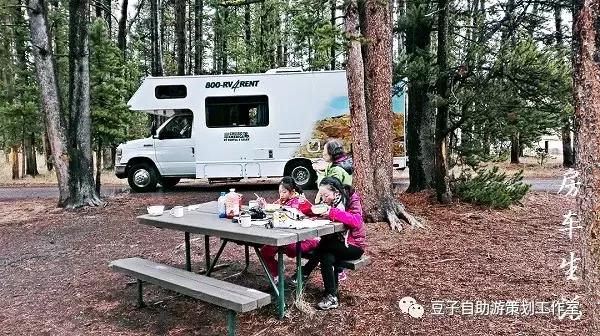 经常出国旅行,出国旅行的原因