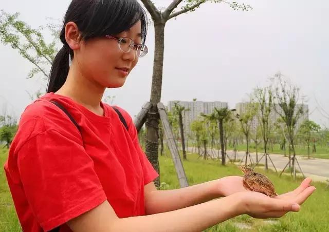 这一批小云雀的命运:有人捉住它们,有人救助它们,今天被放生