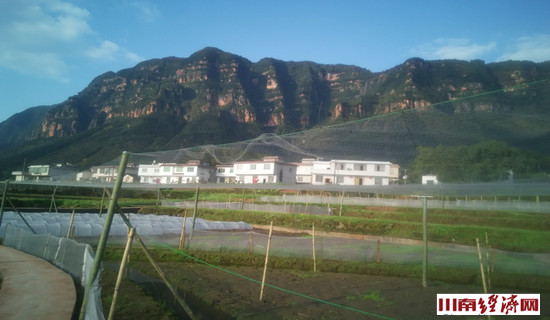 泸州:叙永红村青蛙唱响致富路