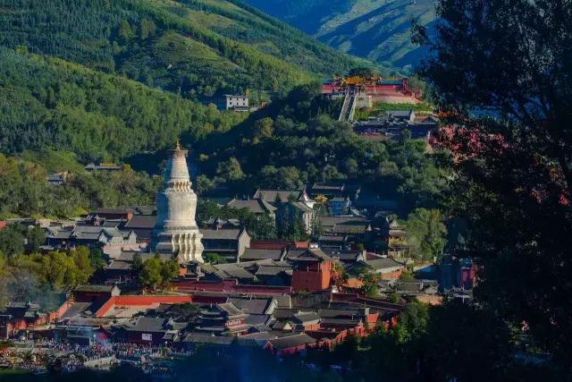 农历五月十三｜五爷圣诞，全球来贺！