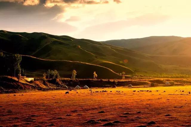 新疆南北疆大环线风景旅游专列,北京去新疆沿途风景