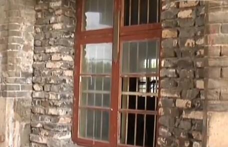 又见影视剧组破坏*物文**拍戏缘何成为“杀手”快看