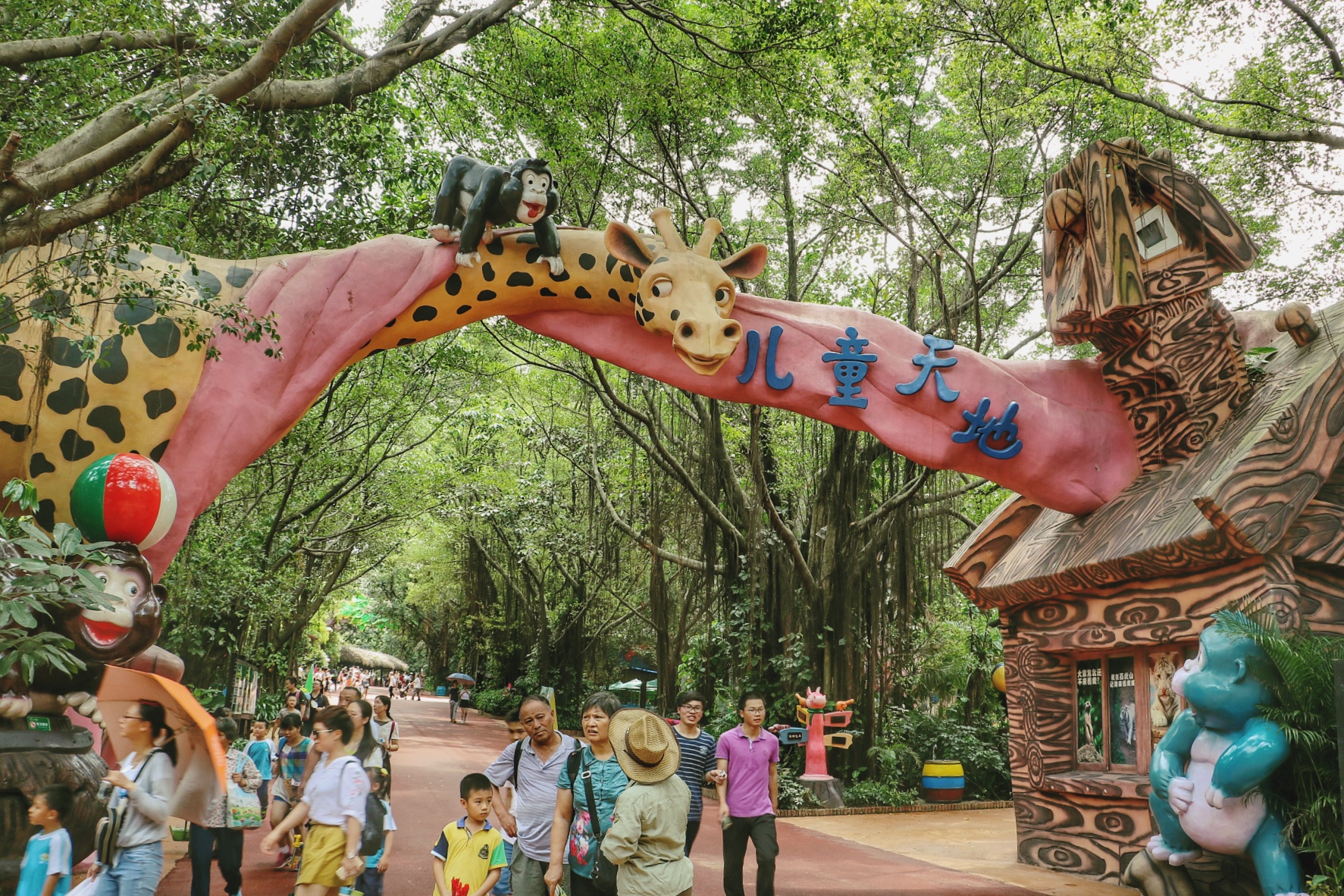 一月广州长隆野生动物园游玩攻略,长隆海洋王国不可错过