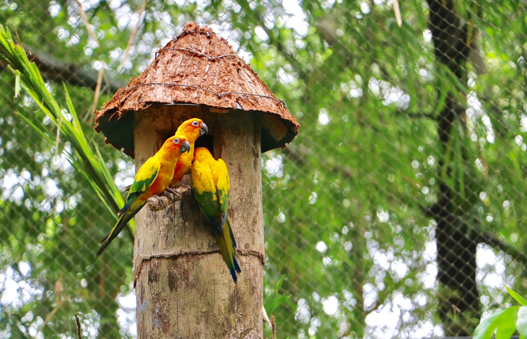 一月广州长隆野生动物园游玩攻略,长隆海洋王国不可错过