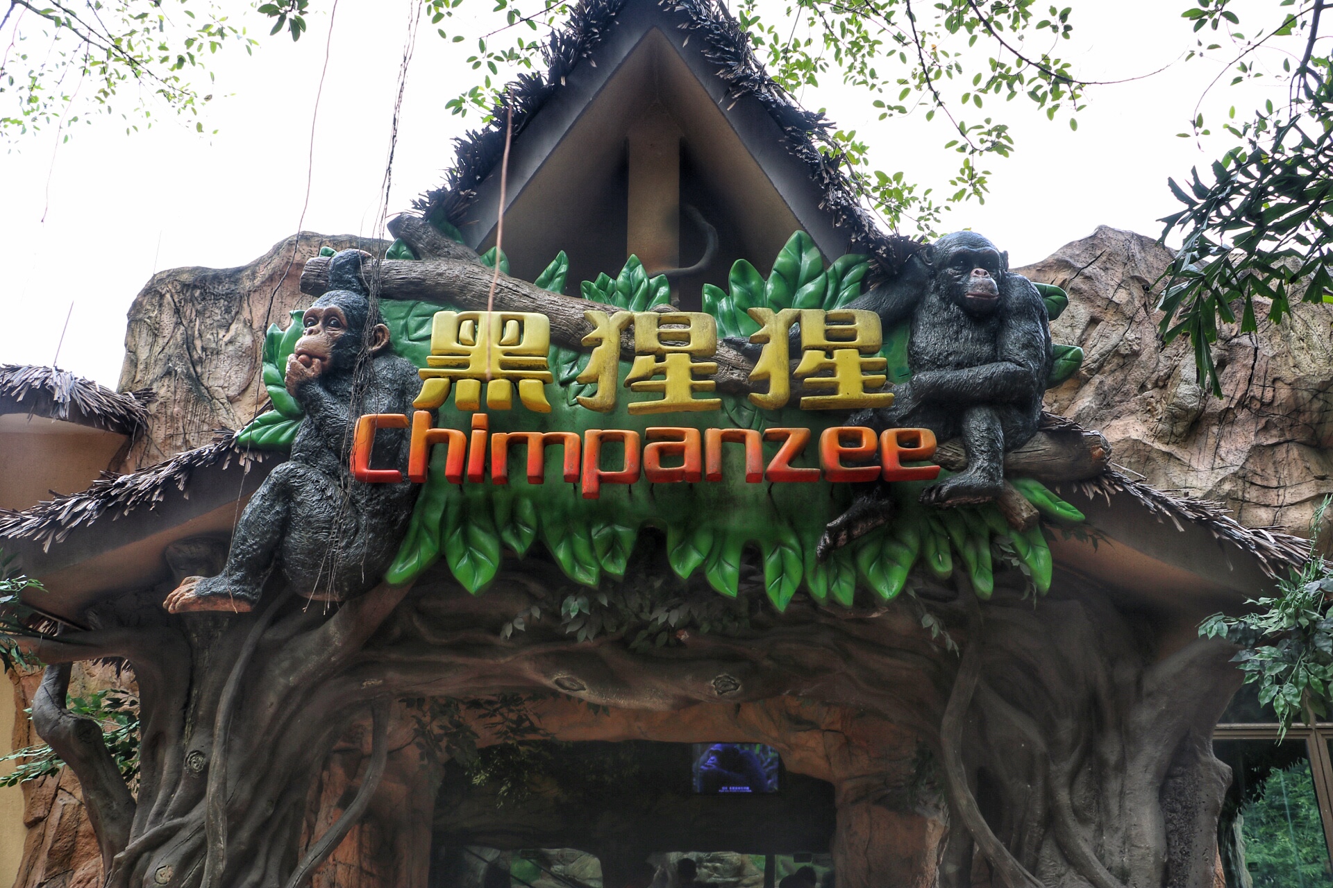 一月广州长隆野生动物园游玩攻略,长隆海洋王国不可错过