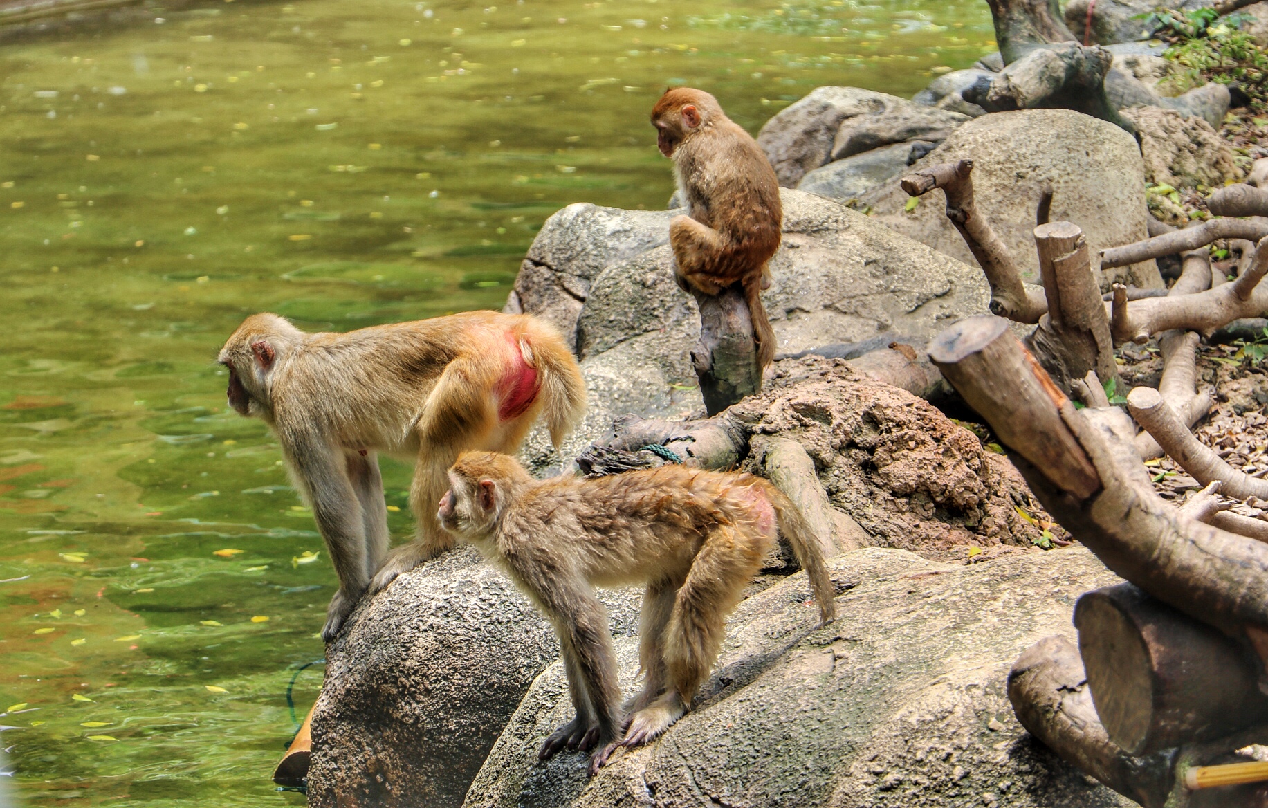 一月广州长隆野生动物园游玩攻略,长隆海洋王国不可错过
