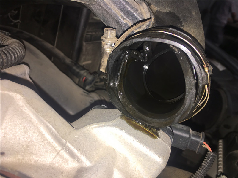 为了换回它的“心”差点多花好几万