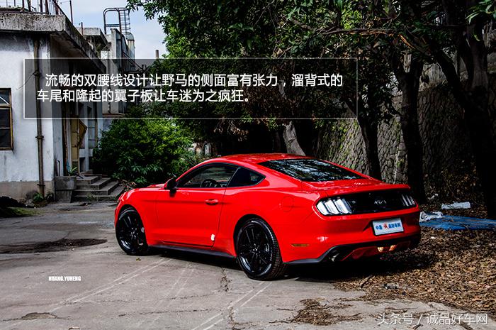 没有奔跑在草原的野马，成了男人心口的朱砂痣