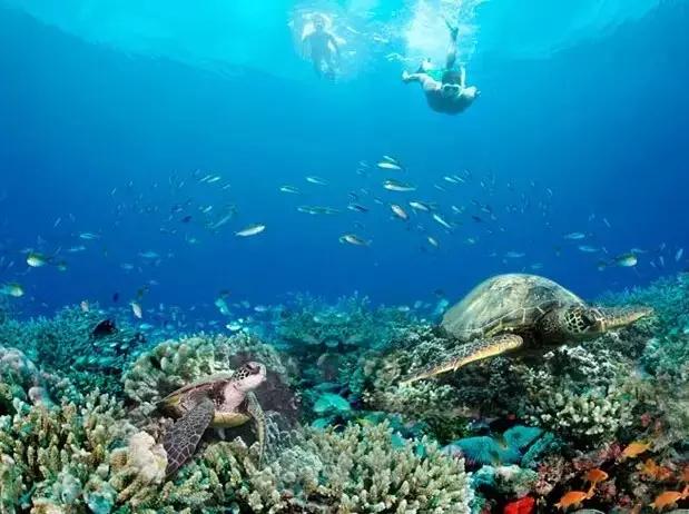 拒绝下饺子,出门就是海,双月湾爱琴海酒店