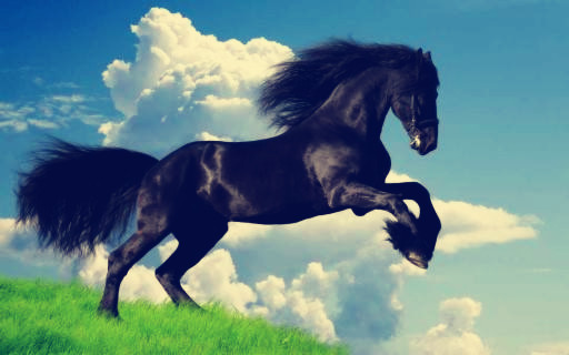 新手网店开店流程详细教程,新手小白怎么把网店做起来