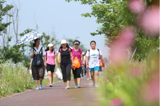 总有美好在路上什么意思,总有美好在路上歌曲