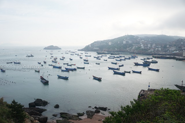 为了旅游凌晨四点出发,什么时间去枸杞岛最好